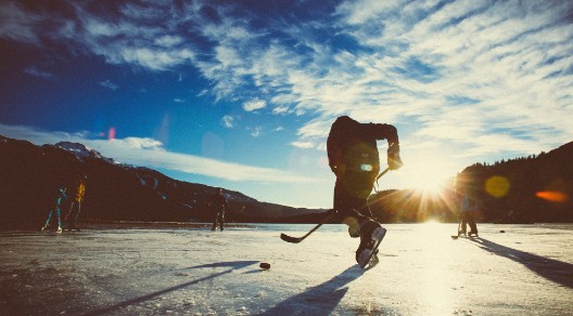 Eishockey in der Natur Eishockey in der Natur
