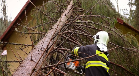 Feuerwehrmann zersägt umgestürzten Baum, der auf ein Haus gefallen ist.