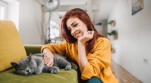 diebayerische-katzen-krankenversicherung