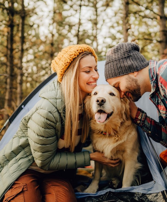 Frau mit gelber Mütze und Mann mit kariertem Hemd beim Camping mit Golden Retriever
