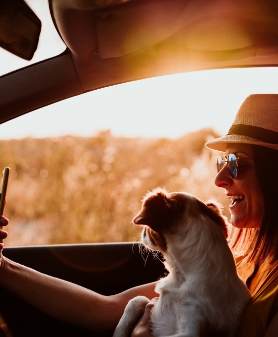 Eine Frau sitzt im Sonnenschein mit ihrem kleinen Hund im Auto. 