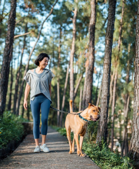 Eine Frau spaziert mit ihrem Hund durch den Wald.