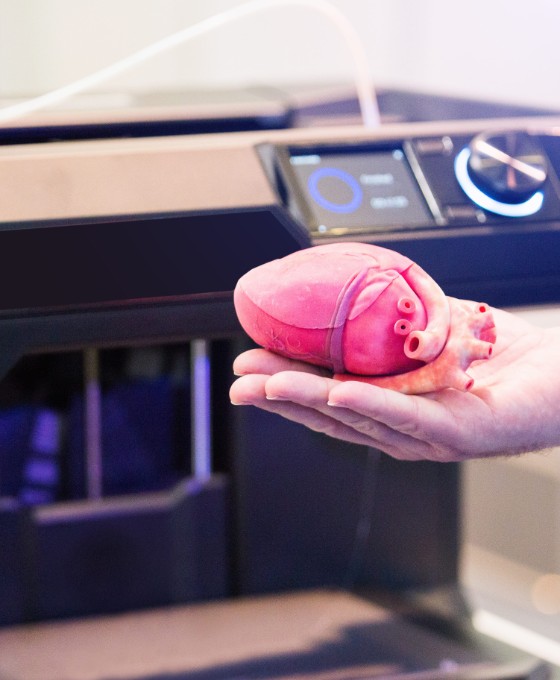 Ein Mann hält ein Herz (Organ), welches aus einem 3D-Drucker stammt. 