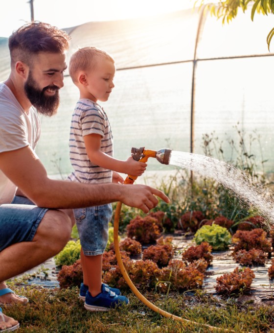 Ein Mann und ein kleiner Junge bewässern zusammen mit einem Wasserschlauch Pflanzen im Garten. 