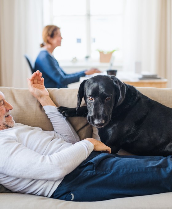 Ein älterer Mann in Anzug liegt mit Kopfhörern auf dem Kopf auf dem Sofa. Neben ihm ein schwarzer Hund. 