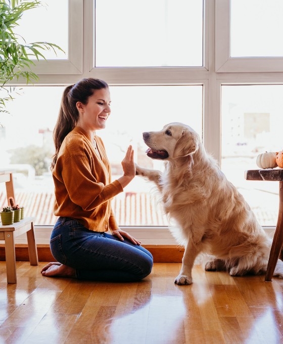 Die Bayerische Hunde-Krankenversicherung