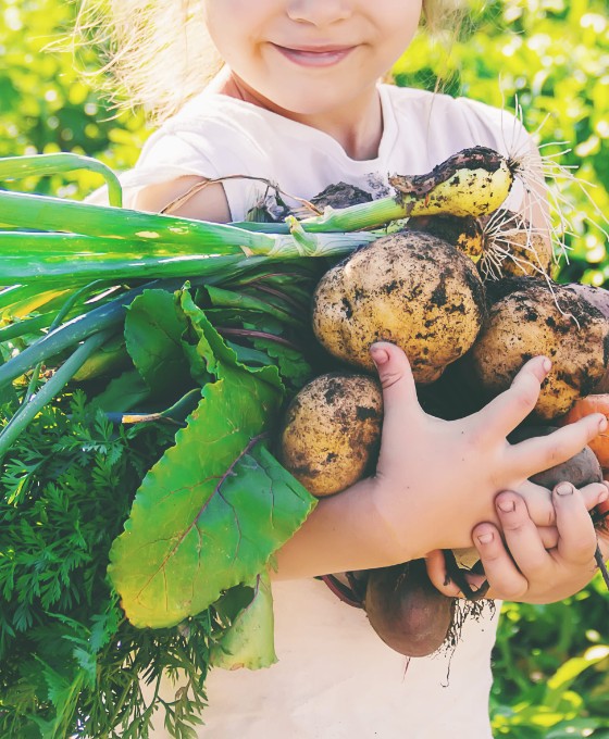 Diebayerische Ratgeber Clean Eating Fuer Kinder