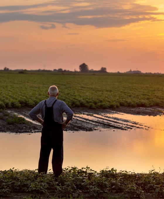 Ein Mann steht im Sonnenuntergang an einem überschwemmten Teich.