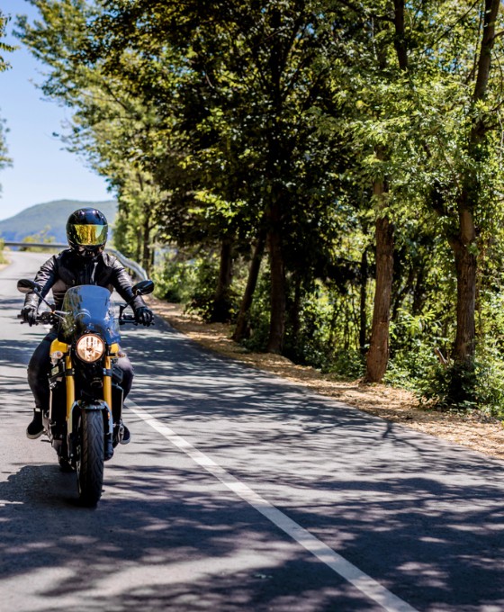 Ein Motorradfahrer fährt an einem sonnigen Tag eine Landstraße entlang.