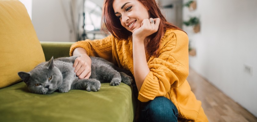 diebayerische-katzen-krankenversicherung