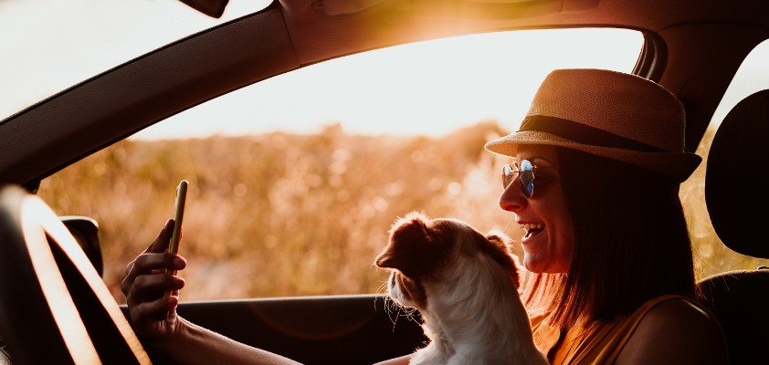 Eine Frau sitzt im Sonnenschein mit ihrem kleinen Hund im Auto. 