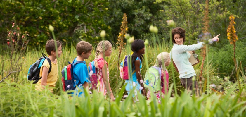 Eine Lehrerin zeigt ihren Schülern die Natur, während sie durch Grünes laufen. 