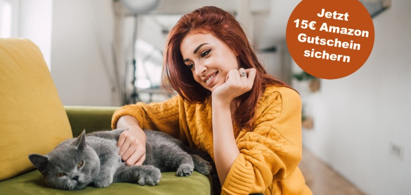 diebayerische-katzen-krankenversicherung_mit_stoerer_amazongutschein