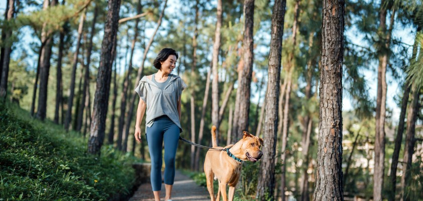 Eine Frau spaziert mit ihrem Hund durch den Wald.