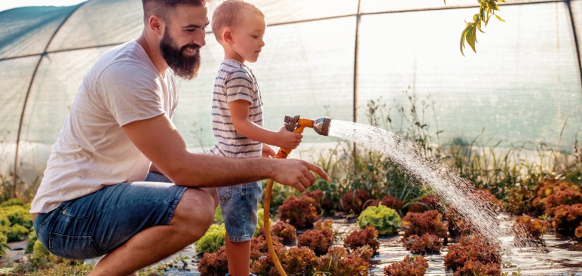 Ein Mann und ein kleiner Junge bewässern zusammen mit einem Wasserschlauch Pflanzen im Garten. 