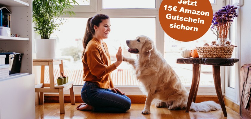diebayerische-hunde-krankenversicherung_mit_stoerer_amazongutschein
