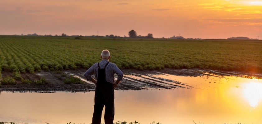 Ein Mann steht im Sonnenuntergang an einem überschwemmten Teich.