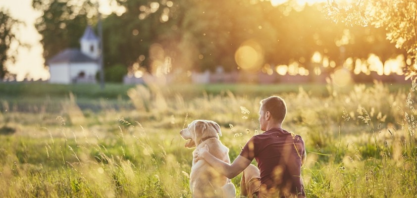 Ein Mann sitzt mit seinem Golden Retriever zusammen im hohen Gras bei Sonnenschein. 