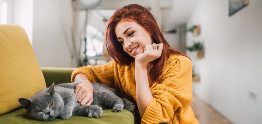 diebayerische-katzen-krankenversicherung