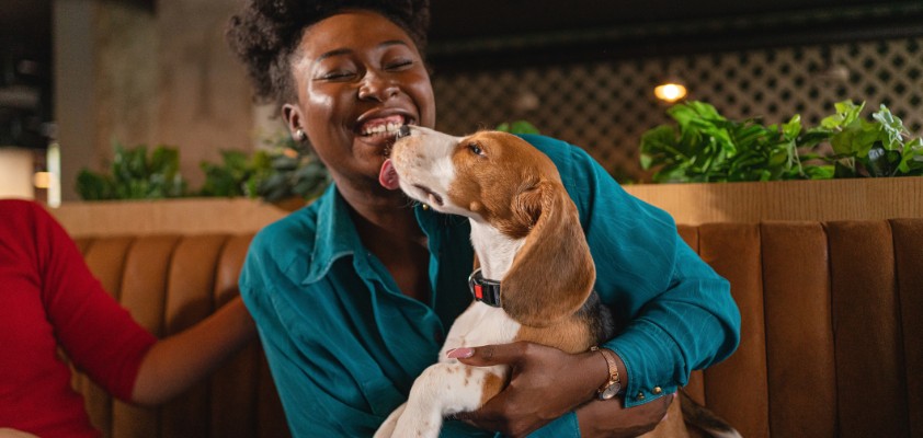 Frau hält ihren Hund während sie lacht und in einem Restaurant sitzt.