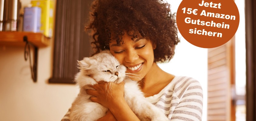 diebayerische-katzen-kv_mit_stoerer_amazongutschein
