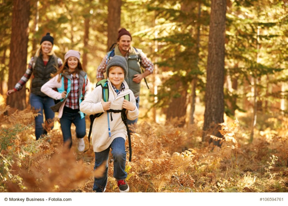 Eine junge Familie, bestehend aus vier Personen, geht durch einen goldbraunen Wald wandern Eine junge Familie, bestehend aus vier Personen, geht durch einen goldbraunen Wald wandern