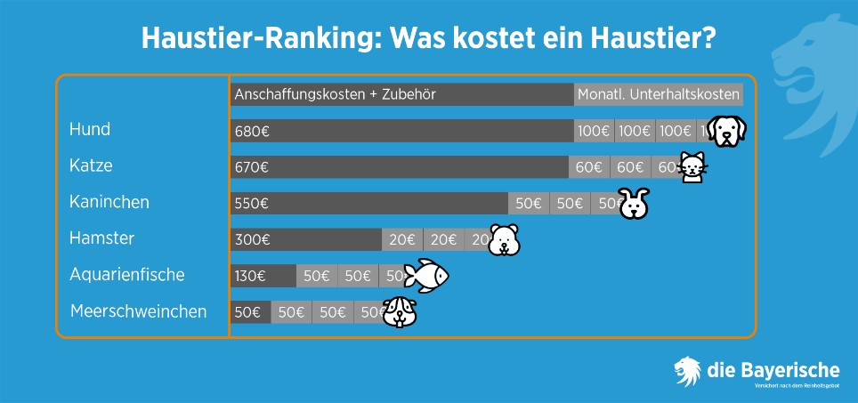 Ratgeber Grafik Haustierkosten
