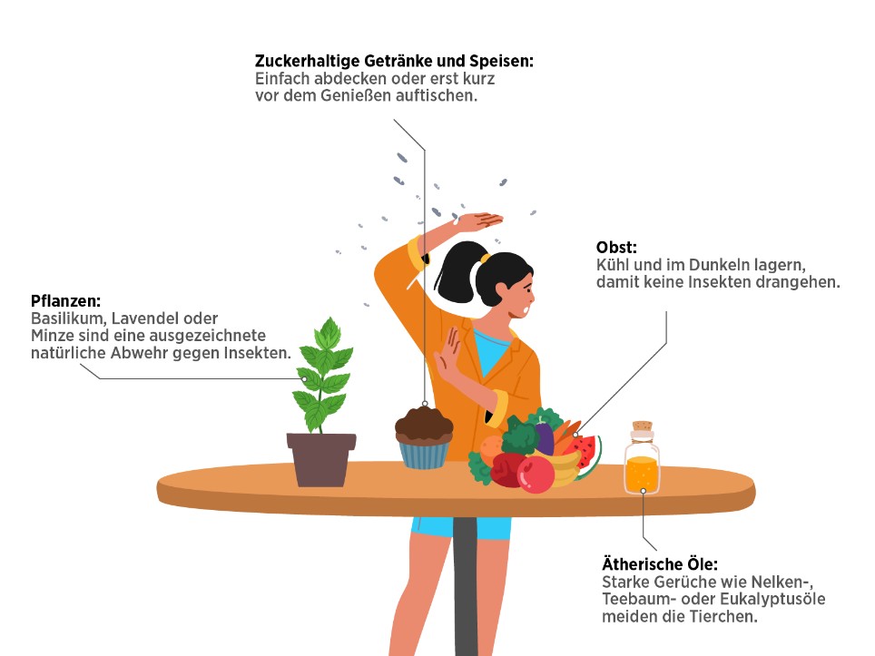 Die Grafik erklärt, wovon Insekten wie Wespen und Ameisen angelockt werden.