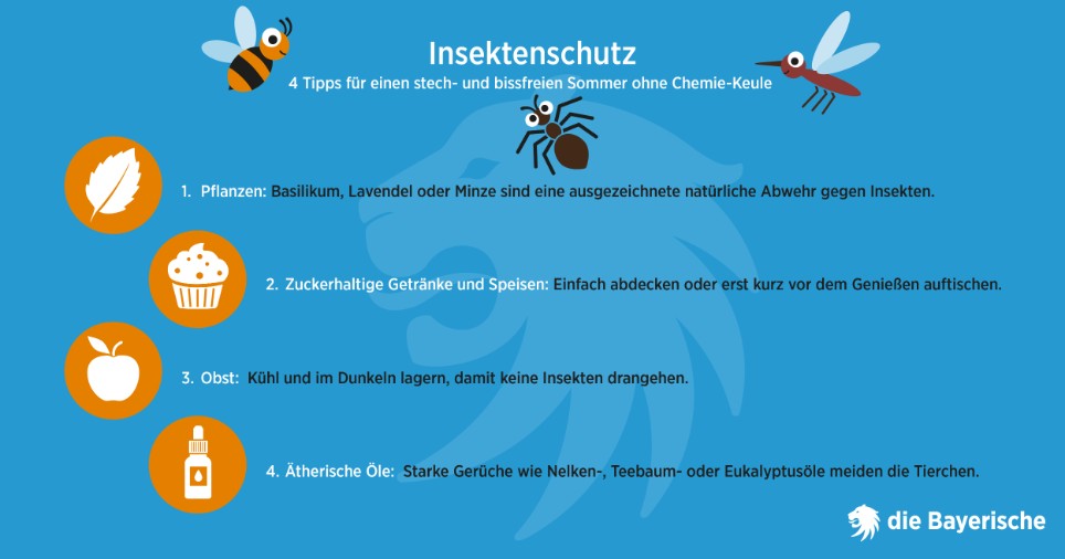 Ratgeber Grafik Insektenschutz Ratgeber Grafik Insektenschutz