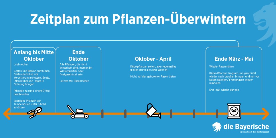 Grafik Ratgeber Den Garten winterfest machen
