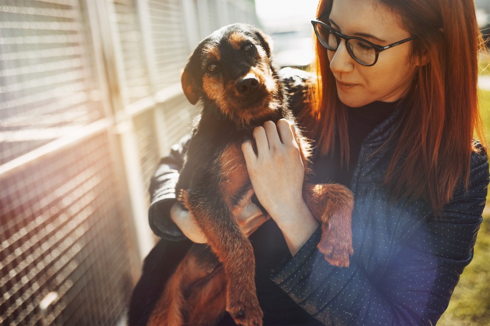 Eine Frau hält ihren Hund auf dem Arm Eine Frau hält ihren Hund auf dem Arm