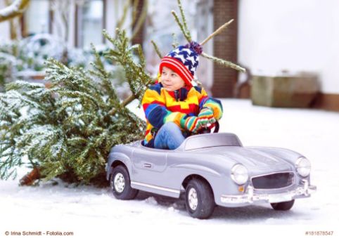 Die Bayerische News Christbaum