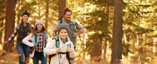 Eine junge Familie, bestehend aus vier Personen, geht durch einen goldbraunen Wald wandern