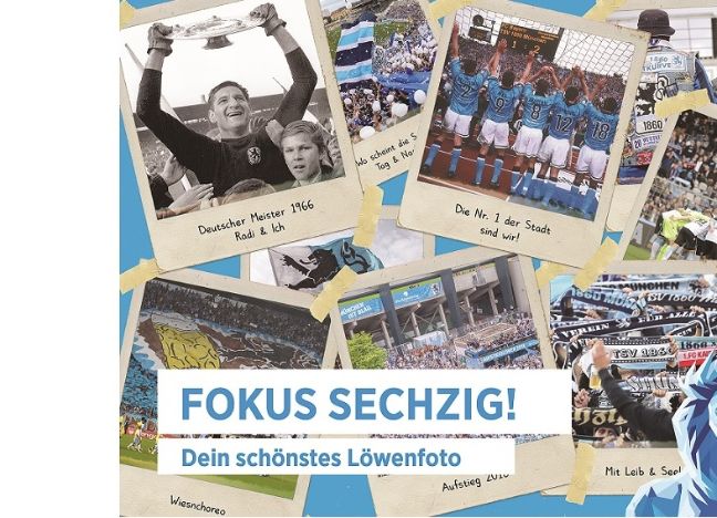 Fotowettbewerb Fokus Sechzig - Dein schönstes Löwenfoto