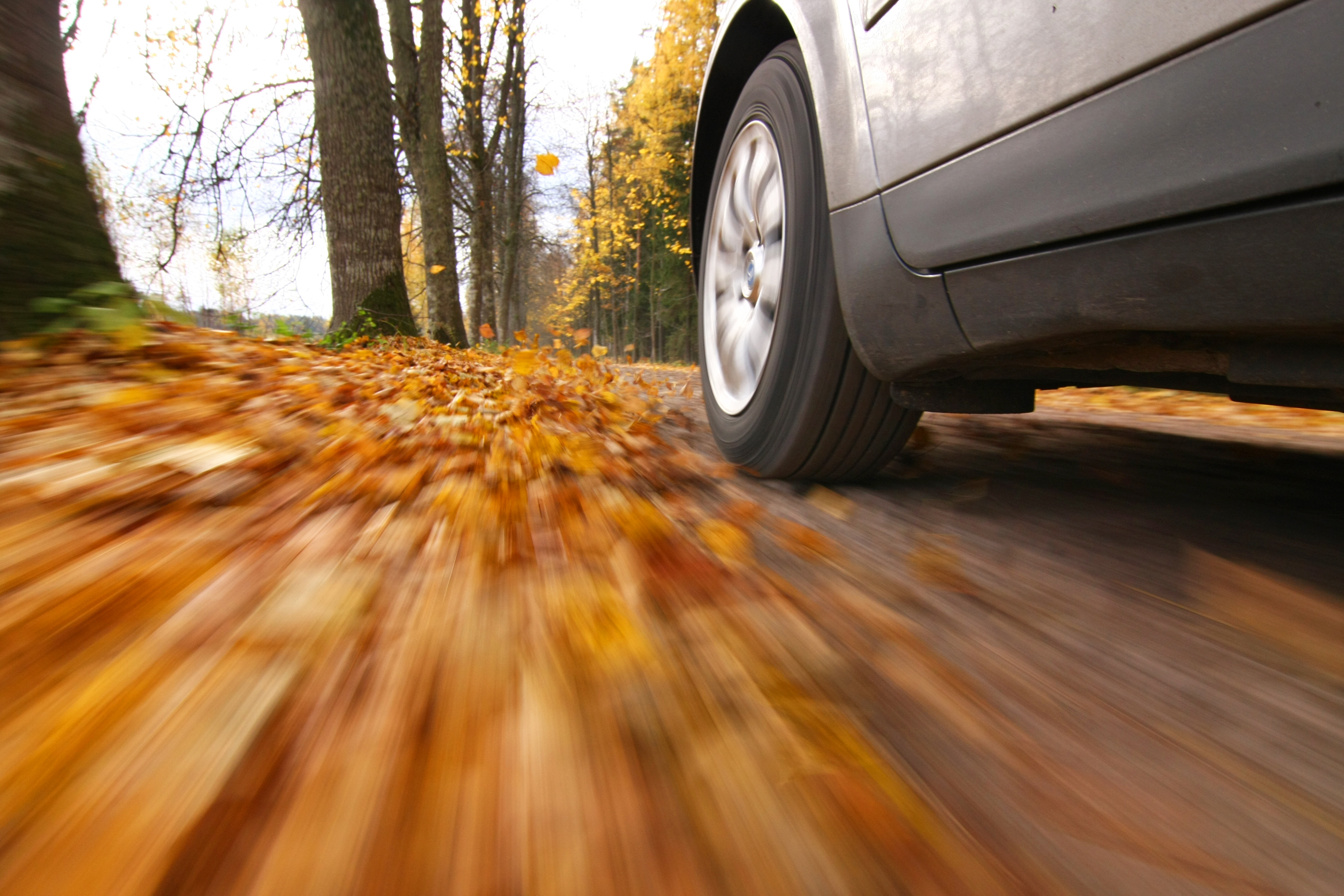 Sicher Autofahren Im Herbst Die Wichtigsten Tipps Die Bayerische